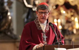 Kardinal Rainer Maria Woelki / Deutsche Bischofskonferenz / Marko Orlovic