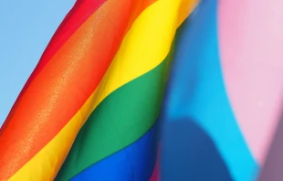 Regenbogen-Flagge der LGBT-Lobby / Cecilie Johnsen / Unsplash