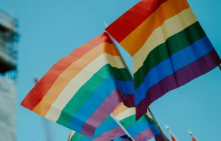 Flagge des LGBT-Aktivismus / daniel james / Unsplash