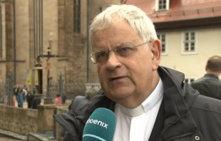 Weihbischof Reinhard Hauke / screenshot / YouTube / phoenix