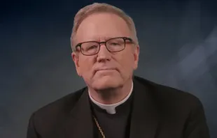 Bischof Robert Barron / screenshot / YouTube / Bishop Robert Barron