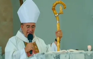 Bischof Rubén Darío Jaramillo Montoya  / Bistum Buenaventura
