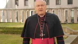 Bischof Rudolf Voderholzer / Screenshot / YouTube / bistumregensburg