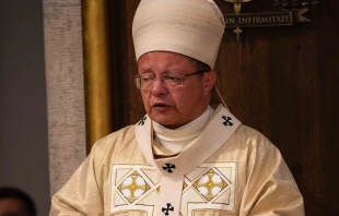 Kardinal Grzegorz Ryś / XBagietto / Wikimedia Commons (CC BY 4.0)