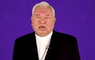 Kardinal Juan Sandoval Iñiguez / screenshot / YouTube / El Universal