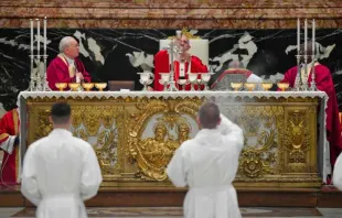 Kardinal Giovanni Battista Re neben Papst Franzikus  / Vatican Media - ACI Group 