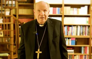 Kardinal Christoph Schönborn OP / screenshot / YouTube / Archdiocese of Vienna