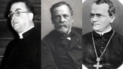   Erkennen Sie die berühmten Wissenschaftler? / Public Domain, Wikipedia / Public Domain, Wikipedia / Hugo Iltis, Wikimedia Commons (CC BY 4.0)