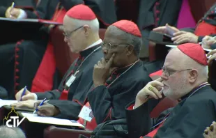 Kardinal Reinhard Marx (rechts) am ersten Tag der Synode bei der Vollversammlung in der Aula / CTV 