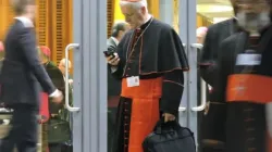 Kardinal Giuseppe Versaldi / ACI Stampa