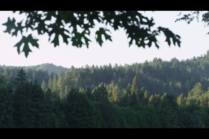 Ausschnitt aus dem Film "Desire of the Everlasting Hills"