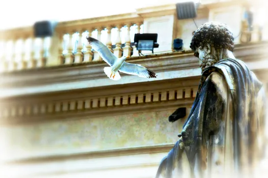 Nicht der Heilige Geist sondern eine Möwe ist es, die in diesem Schnappschuss vom Petersplatz auf eine Statue des ersten Papstes zufliegt. / CNA/Alexey Gotovskiy (bearbeitet)