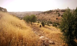 Das Hirtenfeld auf dem Hügel Ush al-Ghurab nahe Beit Sahour. / Screenshot von YouTube / Drive Thru History with Dave Stotts