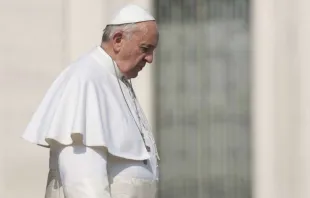 Papst Franziskus auf dem Petersplatz / giulio napolitano / Shutterstock