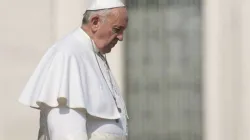 Papst Franziskus auf dem Petersplatz / giulio napolitano / Shutterstock