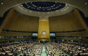 Generalversammlung der Vereinten Nationen in New York
 / Drop of Light/Shutterstock.

