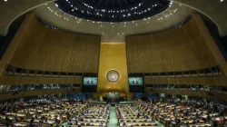 Generalversammlung der Vereinten Nationen in New York
 / Drop of Light/Shutterstock.
