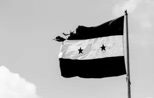 Flagge Syriens / By ART production via Shutterstock.