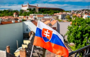 Die Flagge der Slowakei, abgebildet in der Hauptstadt Bratislava
 / RossHelen via Shutterstock.