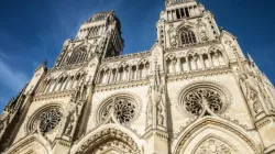 Die Kathedrale Sainte-Croix von Orléans / Shutterstock
