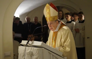 Kardinal Kurt Koch / Valentin Gehrig / CNA Deutsch