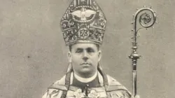Bischof Johannes Baptista Sproll / gemeinfrei