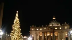 Erleuchtung auf dem Petersplatz: Die feierliche Einweihung von Christbaum und Krippe am 7. Dezember 2018 / Courtney Grogan / CNA Deutsch