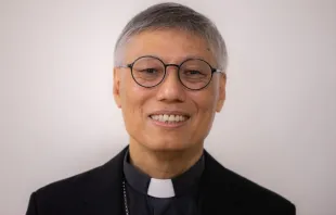 Bischof Stephen Chow / Daniel Ibáñez / CNA Deutsch
