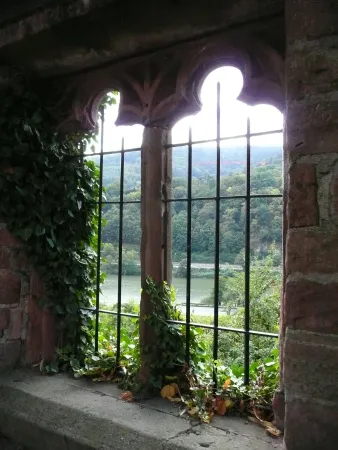 Blick von der Abtei auf den Neckar