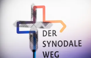 Synodaler Weg / Synodaler Weg / Maximilian von Lachner