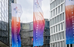 Synodaler Weg / Synodaler Weg / Maximilian von Lachner