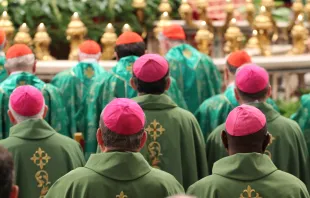 Kardinäle und Bischöfe bei der Messe zur Eröffnung der Familiensynode 2015 / CNA/Martha Calderon