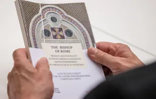 Vatikanisches Dokument „Der Bischof von Rom“ / Daniel Ibáñez / CNA Deutsch