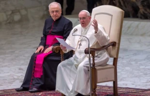 Papst Franziskus bei der Generalaudienz im Vatikan, 29. September 2021 
 / Pablo Esparza/CNA Deutsch