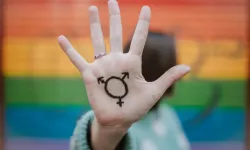 Transgender-Symbol / Juanje Garrido/Shutterstock