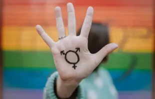 Transgender-Symbol / Juanje Garrido/Shutterstock