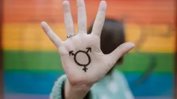 Transgender-Symbol / Juanje Garrido/Shutterstock