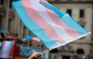 Transgender-Flagge / Foto: Ink Drop / Shutterstock