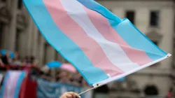 Transgender-Flagge / Foto: Ink Drop / Shutterstock