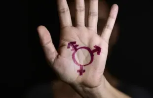 Transgender-Symbol / Shutterstock / nito