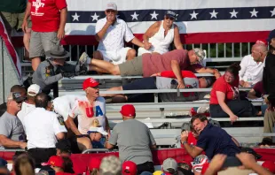 Unterstützer von Donald Trump unmittelbar nach dem Attentat am Abend des 13. Juli (Ortszeit) / REBECCA DROKE / AFP via Getty Images