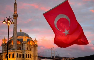 Flagge der Türkei in Istanbul / Michael Jerrard / Unsplash