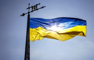 Ukrainische Flagge / Leonhard Niederwimmer / Unsplash