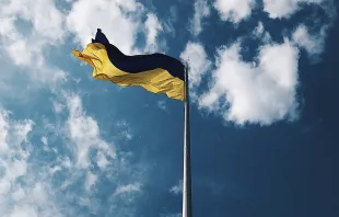 Ukrainische Flagge / Daria Volkova / Unsplash