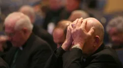 Bischöfe bei der Vollversammlung in Baltimore / CNS photo/Bob Roller