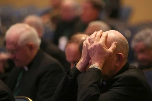 Bischöfe bei der Vollversammlung in Baltimore / CNS photo/Bob Roller