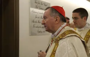 Kardinal Pietro Parolin / CNA / Petrik Bohumil