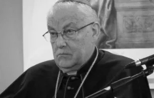 Kardinal Zenon Grocholewski  / Marta Jiménez Ibáñez /  CNA Deutsch