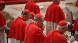 Kardinäle beim Gebet / CNA / Petrik Bohumil
