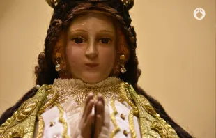 Die "Virgen de San Juan de los Lagos" / https://virgendesanjuan.org/